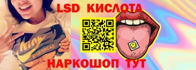 хмурый Дубна